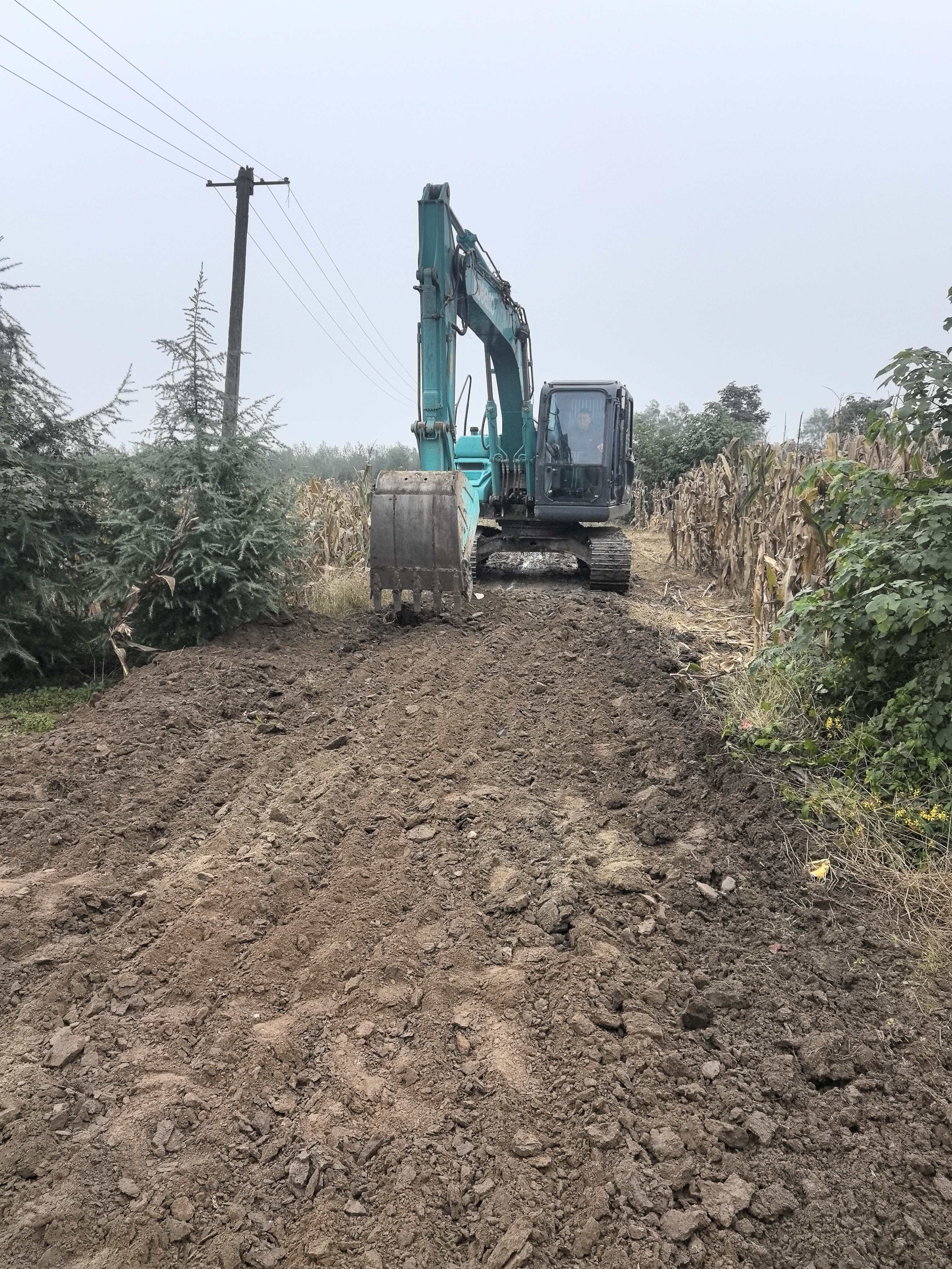 ���Ź����217��(�й���)����