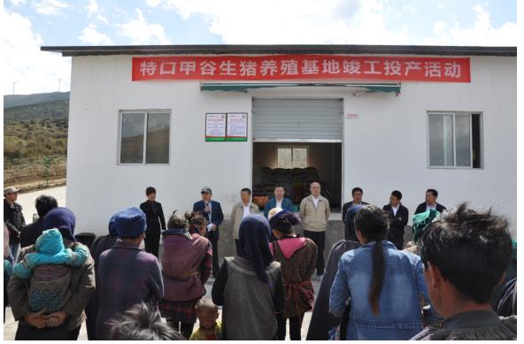 昭觉县统计局最新项目助力县域经济高质量生长