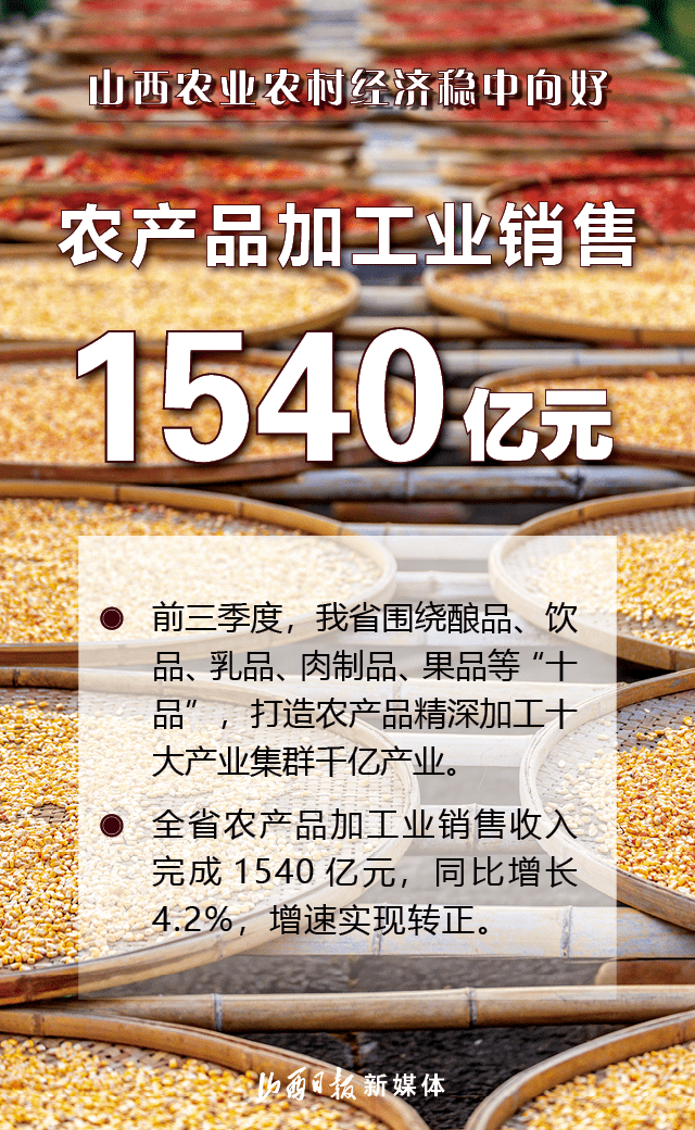 管家婆2024一句话中特,全面数据应用实施