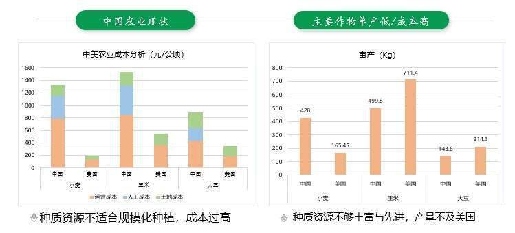 2025新澳门天天开好彩大全37b,数据分析驱动决策