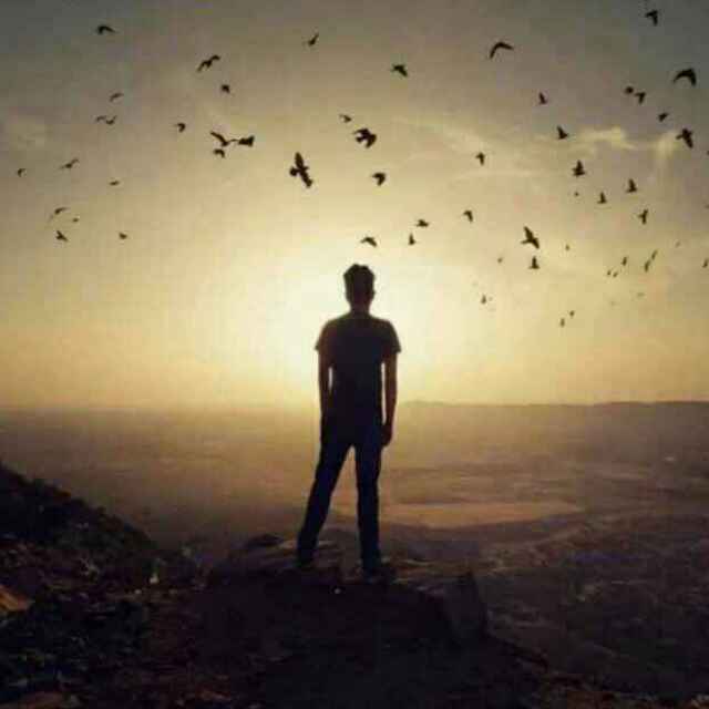 ͼƬ˸̽׷֮