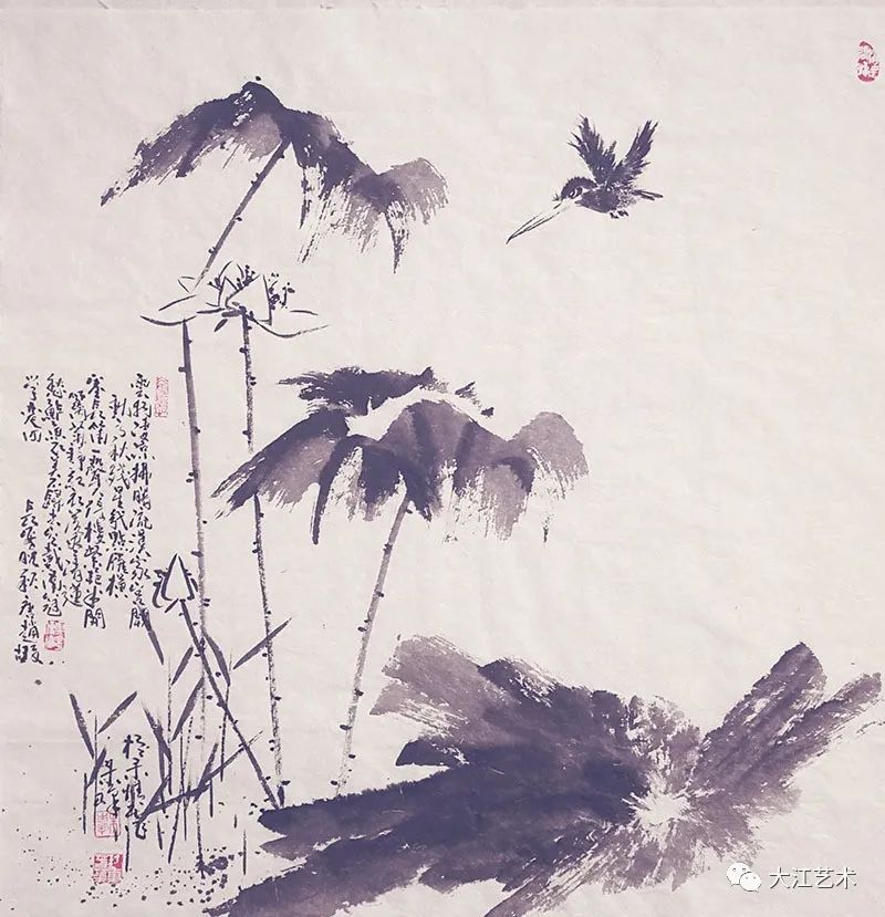 콭۷֮֮̽