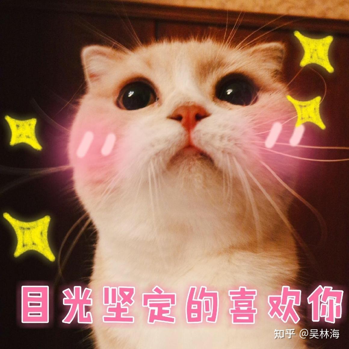 ̸ͼƬʱгѡ